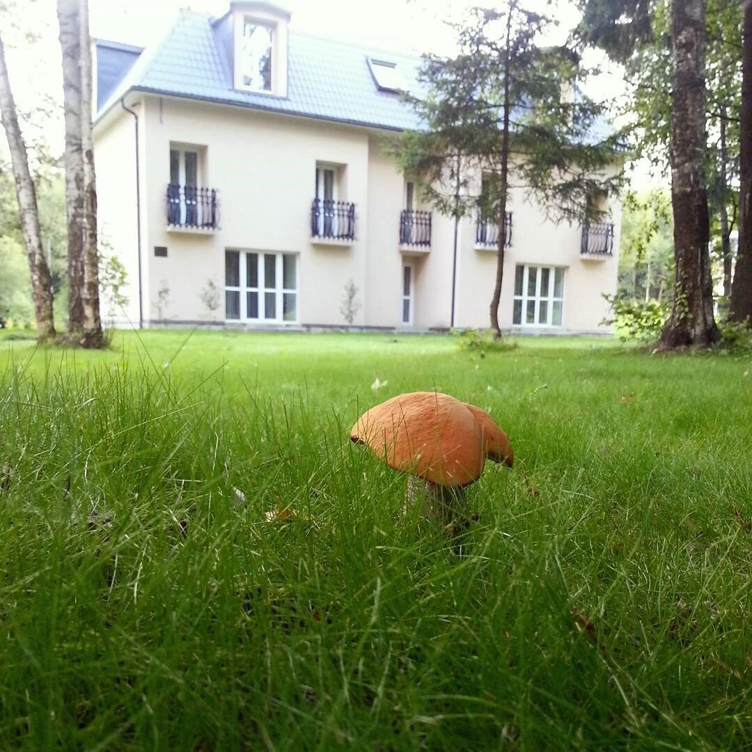 Гостиница Hotel&SPA Лафер Ренессанс 4 Сергиев Посад